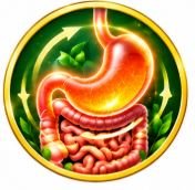 Gasso Health